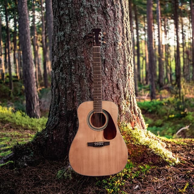 Armonía Silenciosa: Sesiones De Música Con Guitarra - Fantastico Musica Relajante de Guitarra