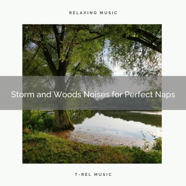 Storm and Woods Noises for Perfect Naps - Calm Rain Sounds