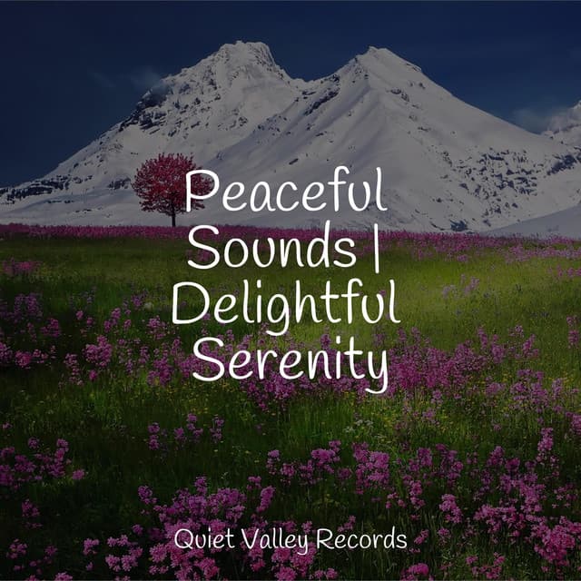Peaceful Sounds | Delightful Serenity - Wellness