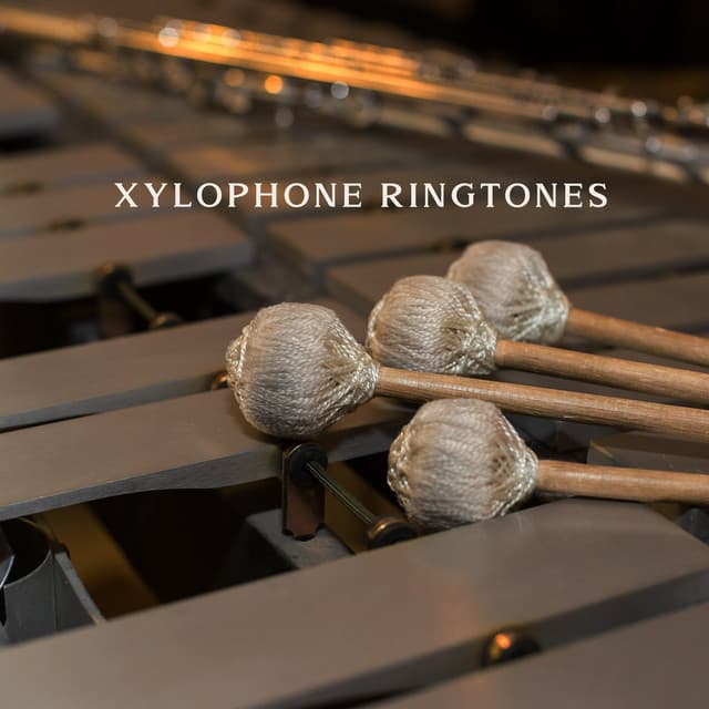 Xylophone Ringtones: Sound Effects and Alarm Clock Deep - ASMR Zone