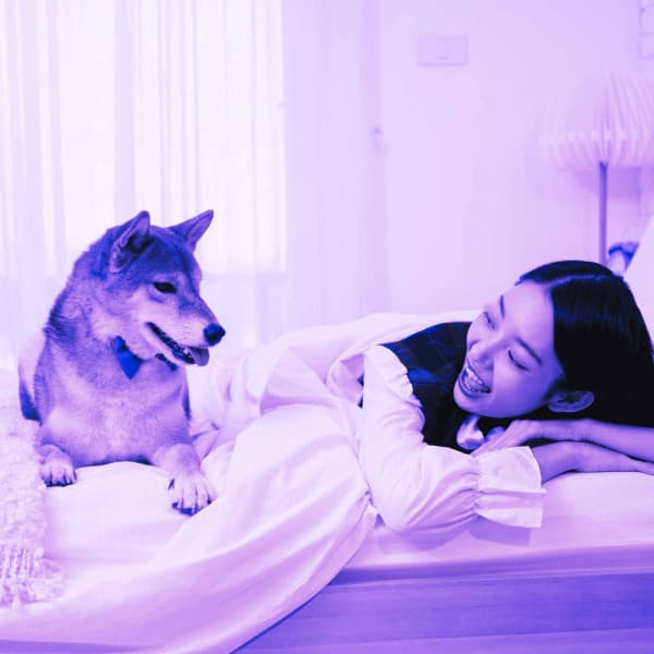 Successful Ambiance for Alert Doggy - Calma Música para Perros