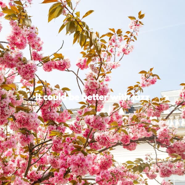 It could be better with jazz - Jazz para Dormir Orquesta