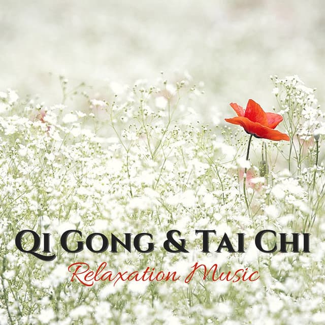 Qi Gong & Tai Chi Relaxation Music - Raise Vitality Levels and Relax Deeply with Instrumental Music - Tai Chi Stars