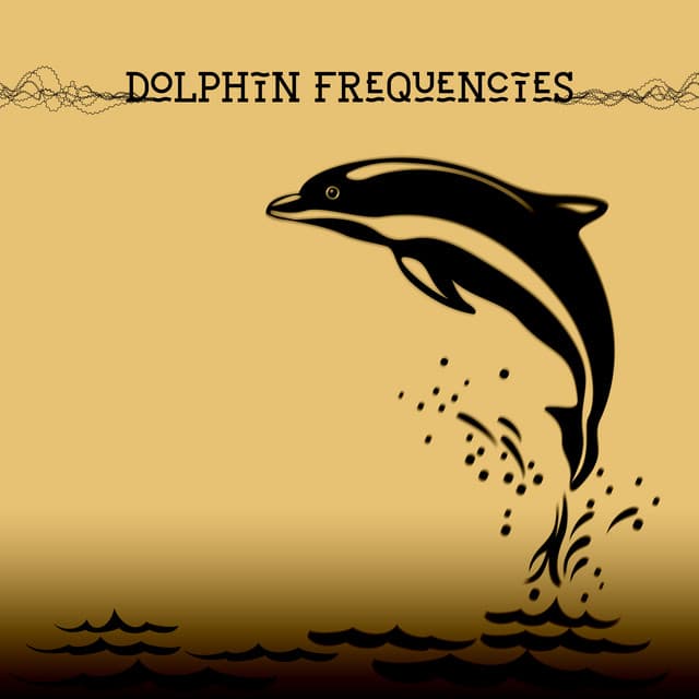 Dolphin Inner Sway - Kelsy Owell
