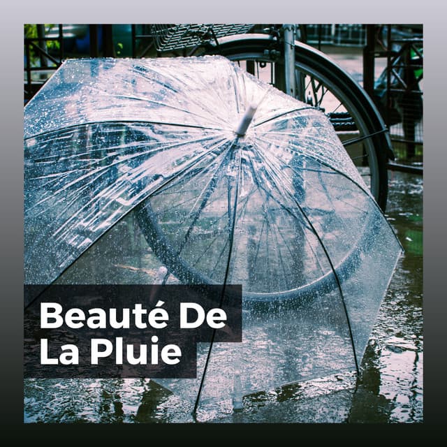 Beauté De La Pluie - Hi-Def FX