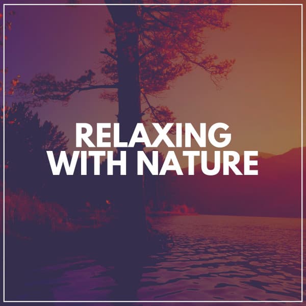 Relaxing With Nature - The Nature Soundscapes