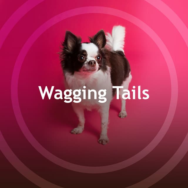 Wagging Tails - Music For Pets