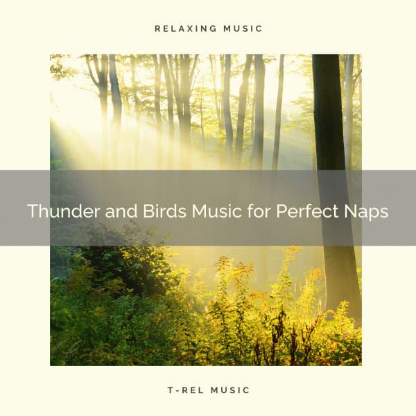 Thunder and Birds Music for Perfect Naps - Rain Sounds Collection
