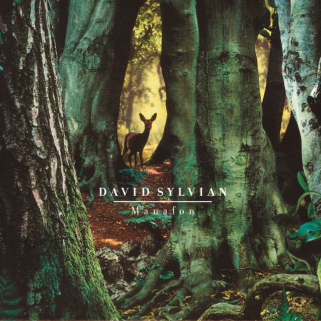 Manafon - David Sylvian