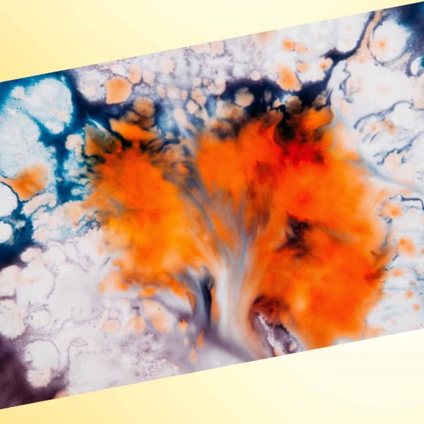 Jazz Organ - Bgm for Virtual Relaxation - Essential Dinner Party Background Music