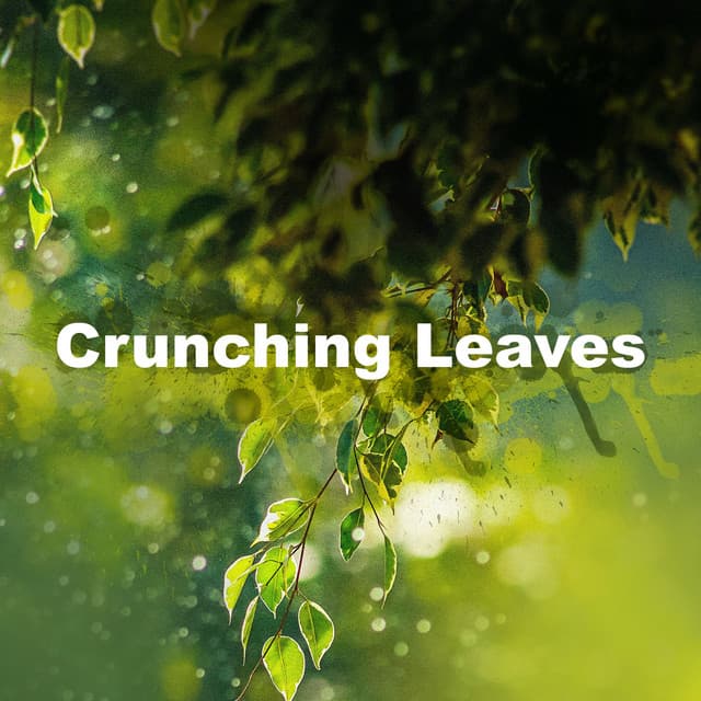 Crunching Leaves - Spa Nature