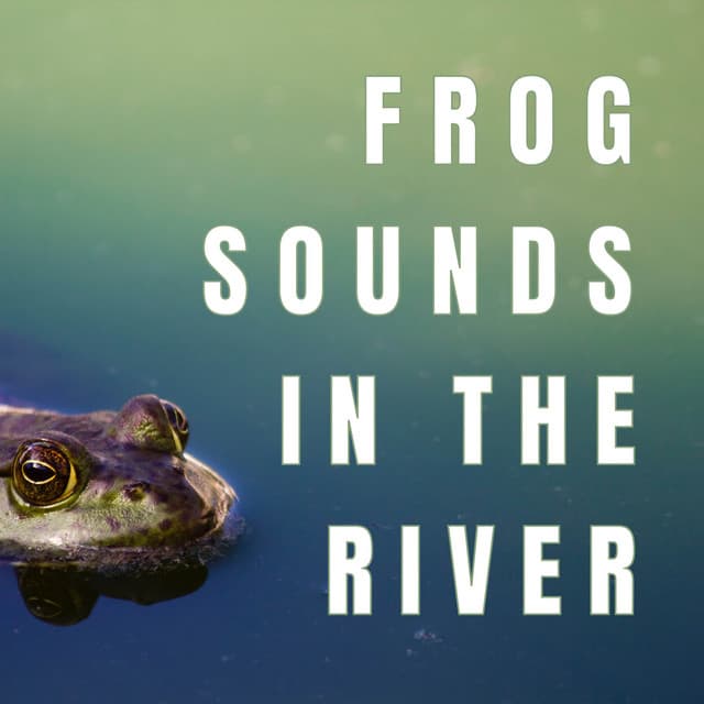 Frog Sounds