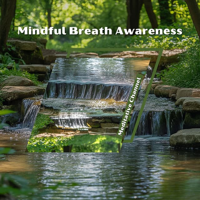 Mindful Breath Awareness - Meditative Channel