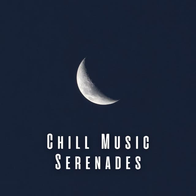Chill Music Serenades: Soundscapes for Blissful Sleep - Instrumental Christian Songs