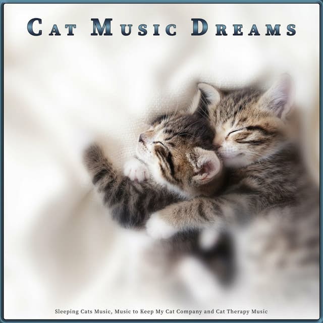 Cat Music Dreams: Sleeping Cats Music, Music to Keep My Cat Company and Cat Therapy Music - Cat Music Dreams