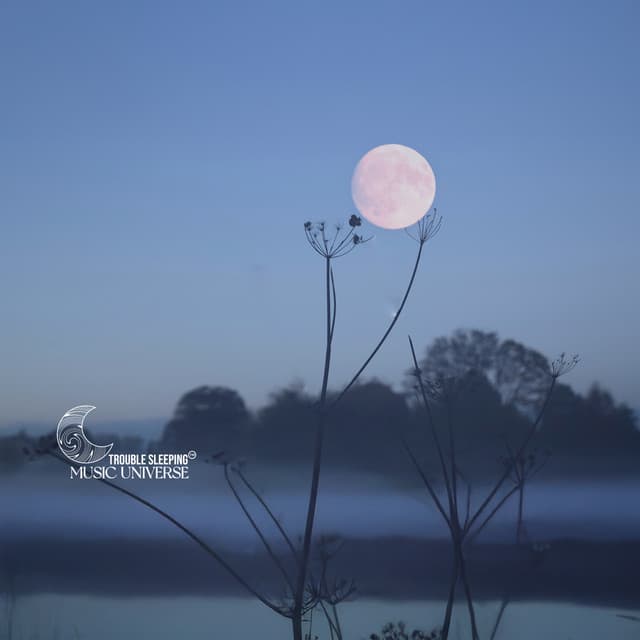 Calmly Lunar Rest - Trouble Sleeping Music Universe