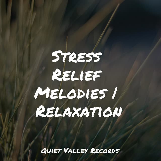 Stress Relief Melodies | Relaxation - Sons da natureza HD