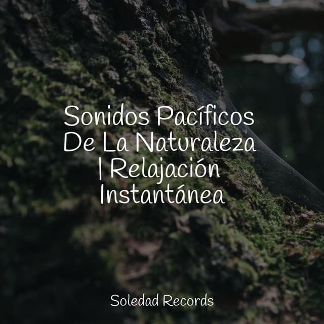 Sonidos Pacíficos De La Naturaleza | Relajación Instantánea - Musica Para Meditacion Profunda