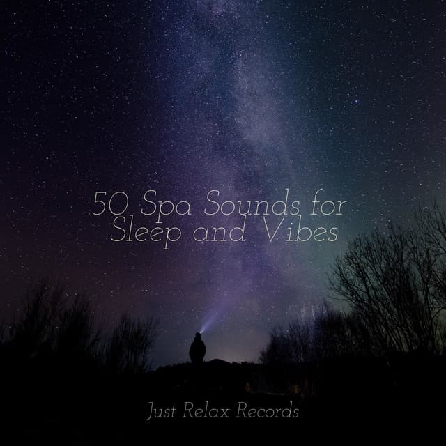 50 Spa Sounds for Sleep and Vibes - Japanese Relaxation and Meditation