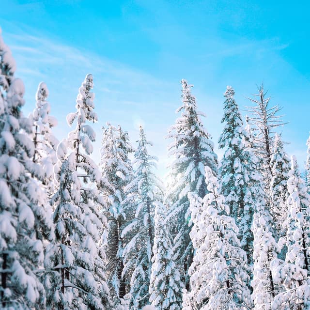 10 Hours White Noise: Gentle Snowfall Silence - White Noise for Babies