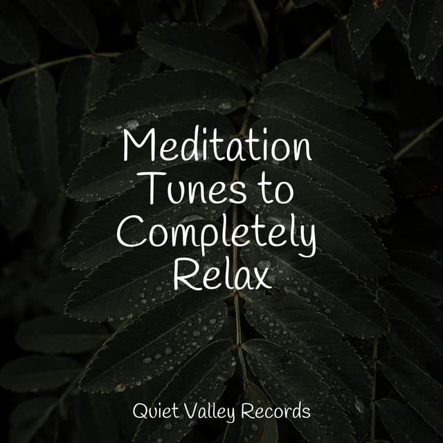 Meditation Tunes to Completely Relax - Deep Sleep Brown Noise