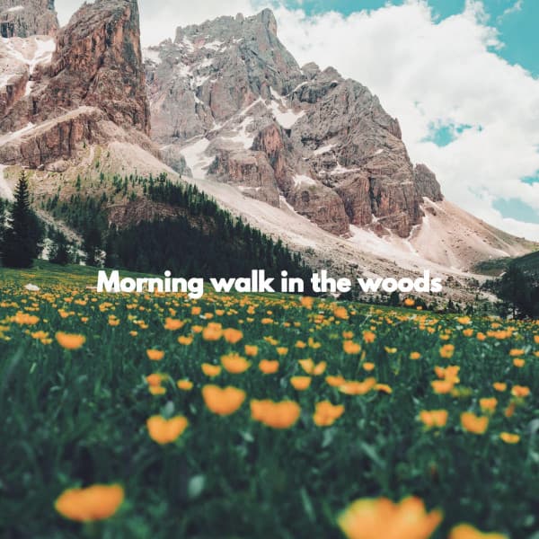 Morning walk in the woods - Música para Cafeterías