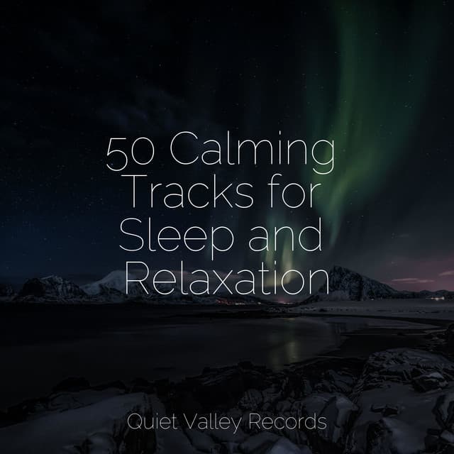 50 Calming Tracks for Sleep and Relaxation - Academia de Música con Sonidos de la Naturaleza