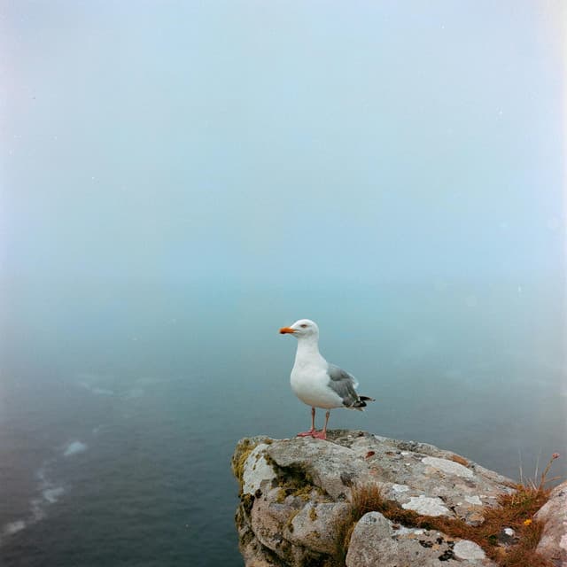 0 Hour Zenship: Continuum Shift - 16 Bit Serenity