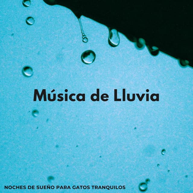 Música De Lluvia: Noches De Sueño Para Gatos Tranquilos - El poder de la lluvia