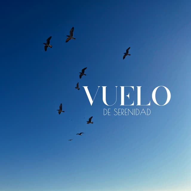 Vuelo de Serenidad: Pájaros Se Deslizan, Preocupaciones Desaparecen, Espíritus Se Elevan - Natureza Relaxante