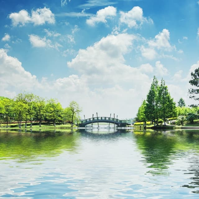 Soothing music treats cardiovascular disease - Soothing Relaxation