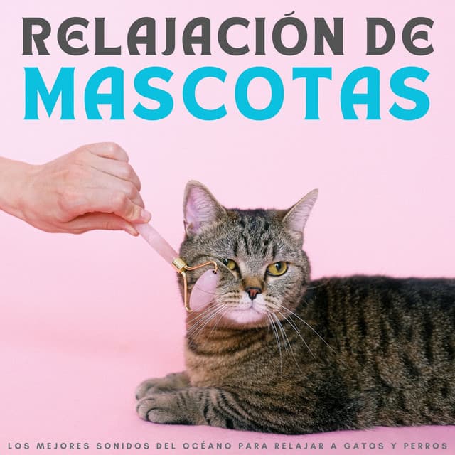 Relajación De Mascotas: Los Mejores Sonidos Del Océano Para Relajar A Gatos Y Perros - Música de mascotas relajante