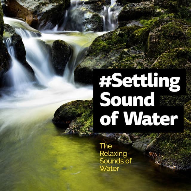 #Settling Sound of Water - The Relaxing Sounds of Water