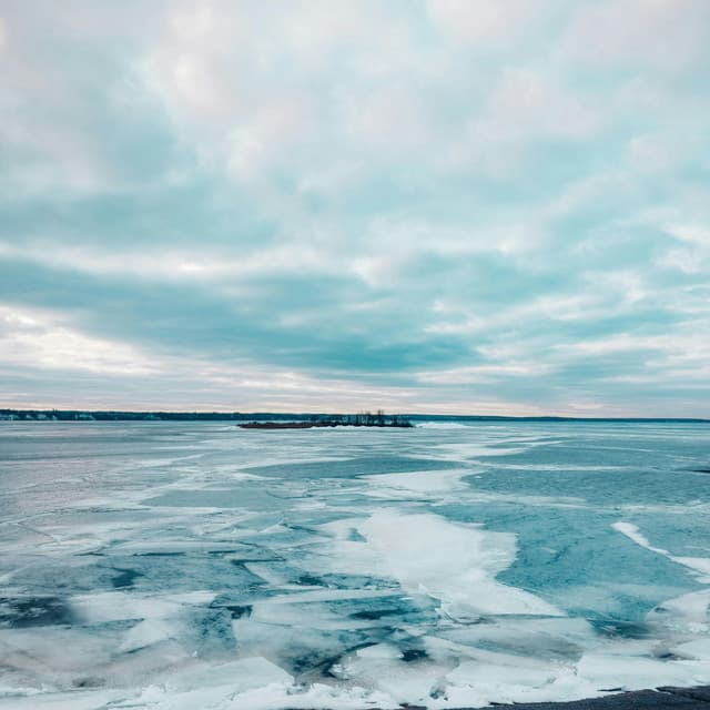 365 Feels: Unfiltered Drive - Lofi Chill