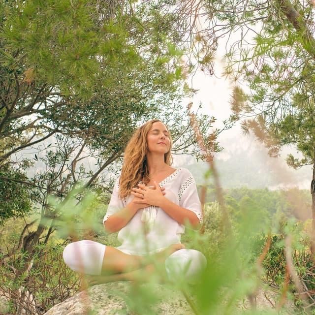 Nature's Insect Meditation: Crickets' Nocturnal Zen Harmonies - Night Crickets