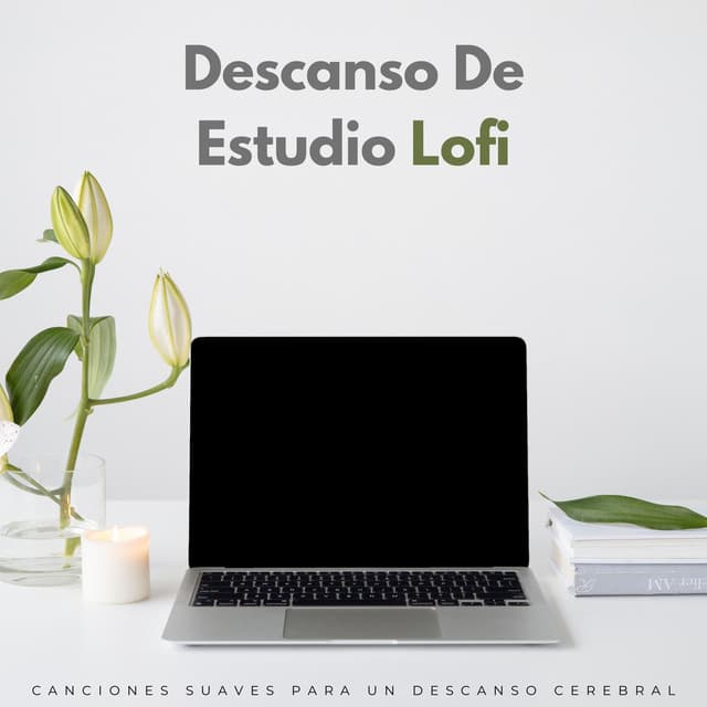 Descanso De Estudio Lofi: Canciones Suaves Para Un Descanso Cerebral - Estudio lofi