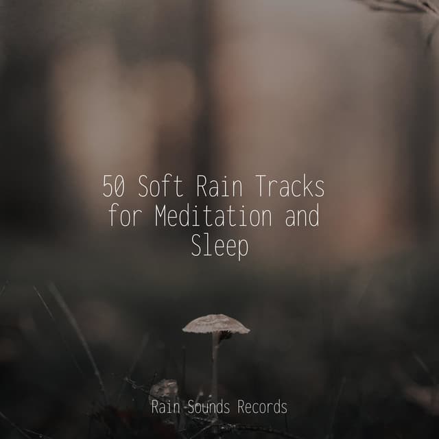 50 Soft Rain Tracks for Meditation and Sleep - Zen Music Garden