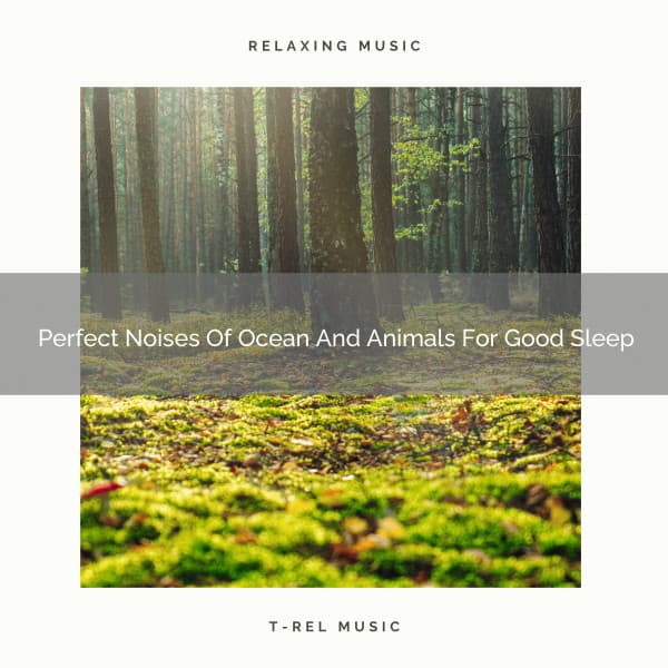 Perfect Noises Of Ocean And Animals For Good Sleep - Sleep Dimension