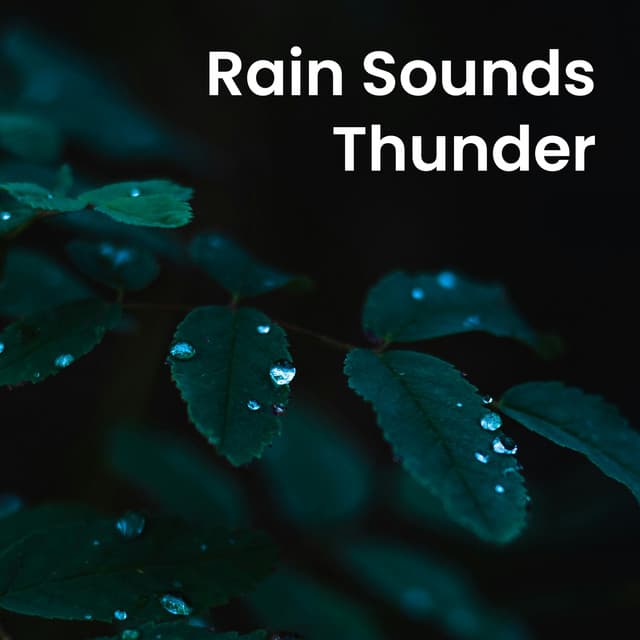 Rain Sounds Thunder - Nature Noise