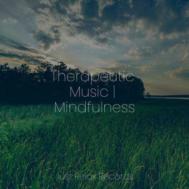 Therapeutic Music | Mindfulness - Meditation Awareness