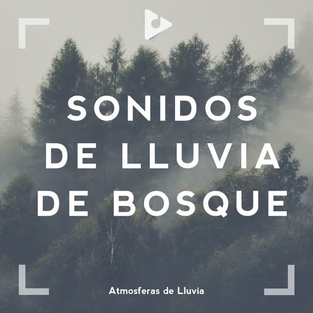 Sonidos de Lluvia de Bosque - Sonido Del Bosque y Naturaleza
