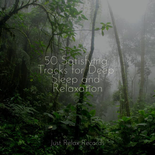 50 Satisfying Tracks for Deep Sleep and Relaxation - Calm Music for Studying
