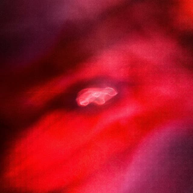 The Faded Orbit - SaffronKeira