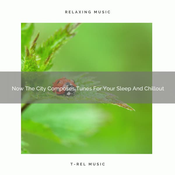 Now The City Composes Tunes For Your Sleep And Chillout - White Noise Sleep Therapy