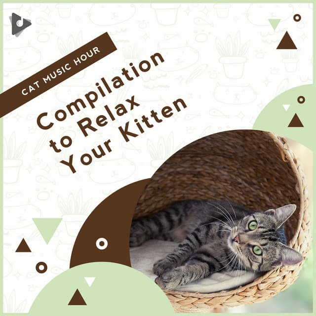 Compilation to Relax Your Kitten - Cat Music Hour