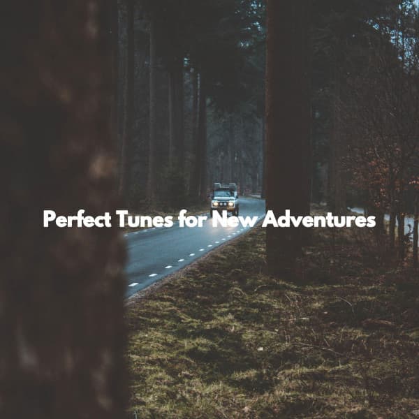 Perfect Tunes for New Adventures - Jazz Alegre para Cafés