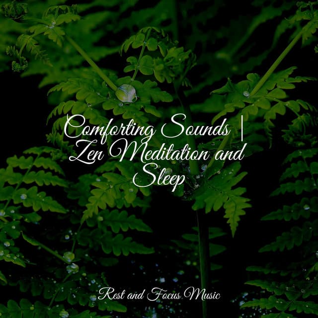 Comforting Sounds | Zen Meditation and Sleep - Relaxamento