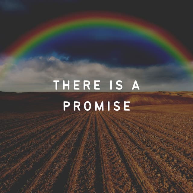 There Is a Promise - Ambient Music Collective