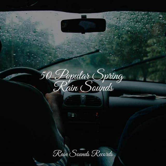 50 Popular Spring Rain Sounds - Lullabies for Deep Meditation