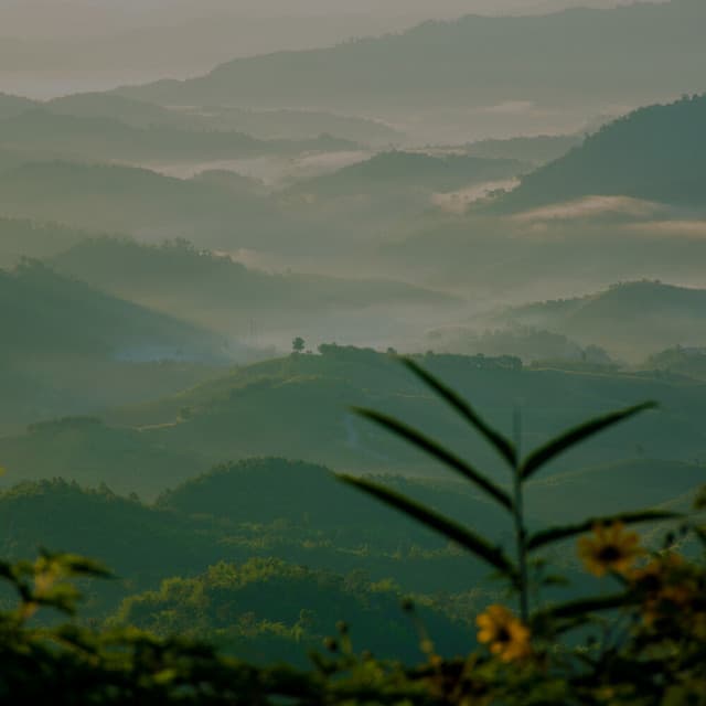 Zenith Zen - Floating Melodies